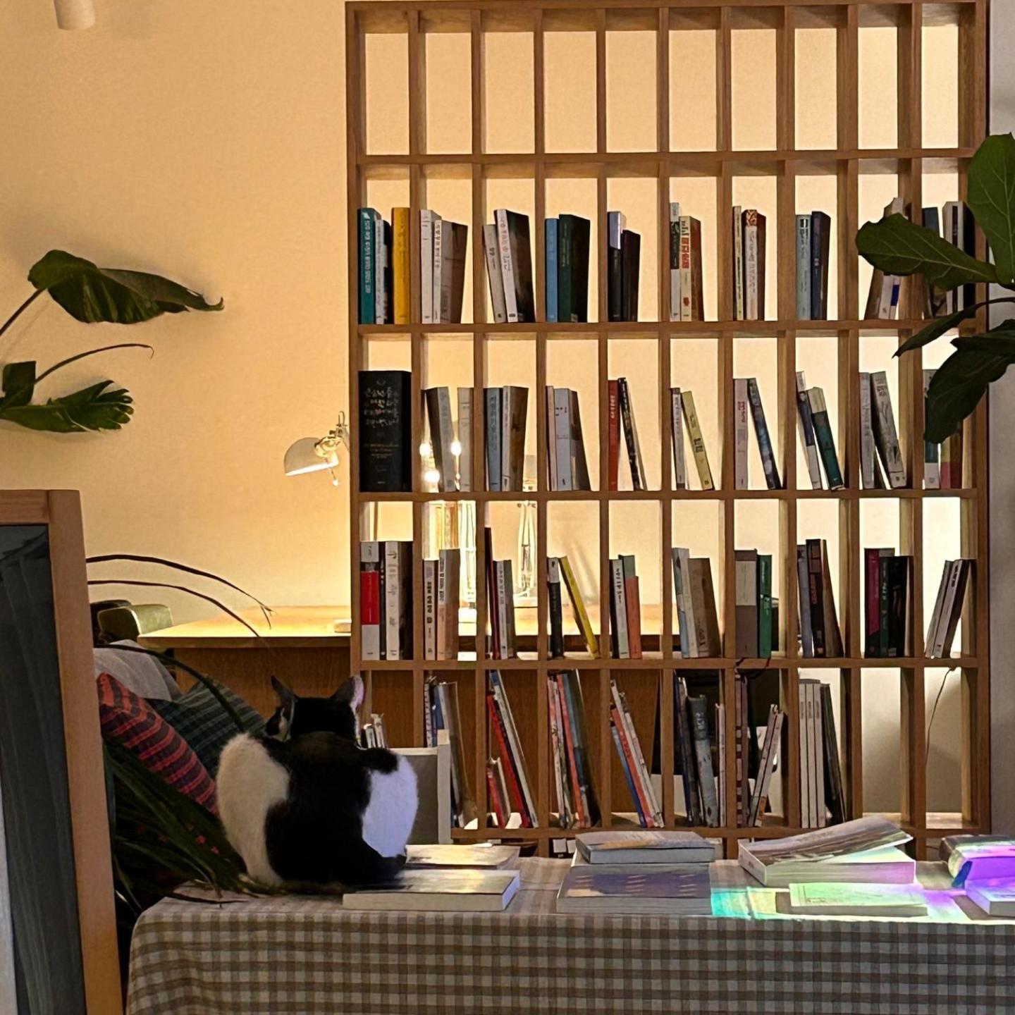 Hostel Espace Чунчеон Екстериор снимка